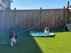 SplashEZ 3-in-1 Splash Pad